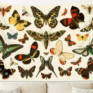 Different Types of Butterflies Wall Hanging Tapestry