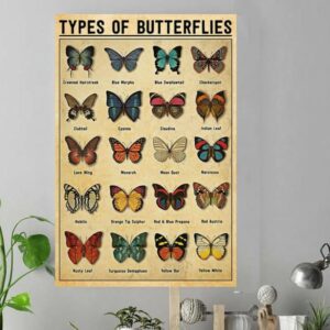 Types of Butterflies Poster Canvas